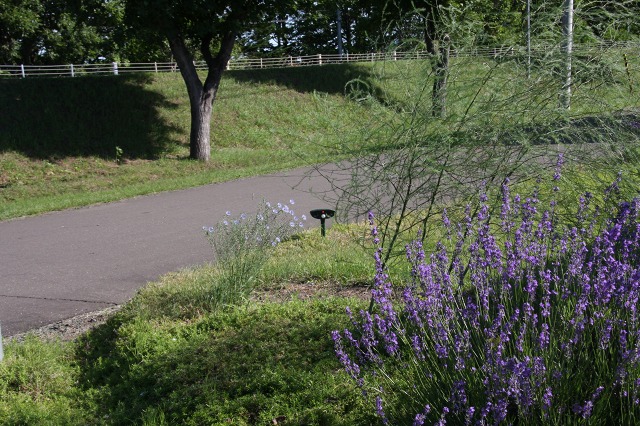 ファイル 111-2.jpg