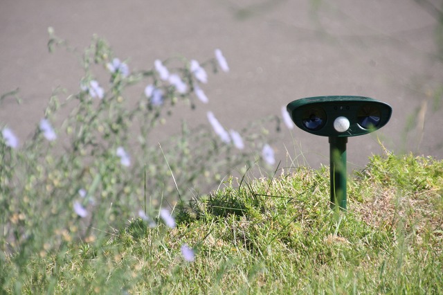 ファイル 111-3.jpg