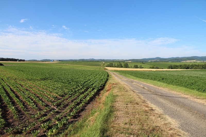 ファイル 111-5.jpg