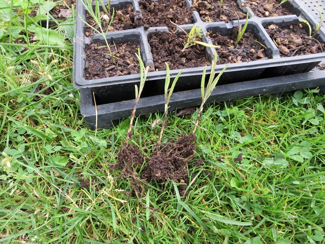 ファイル 112-6.jpg