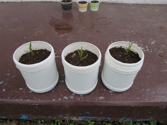 ファイル 112-7.jpg