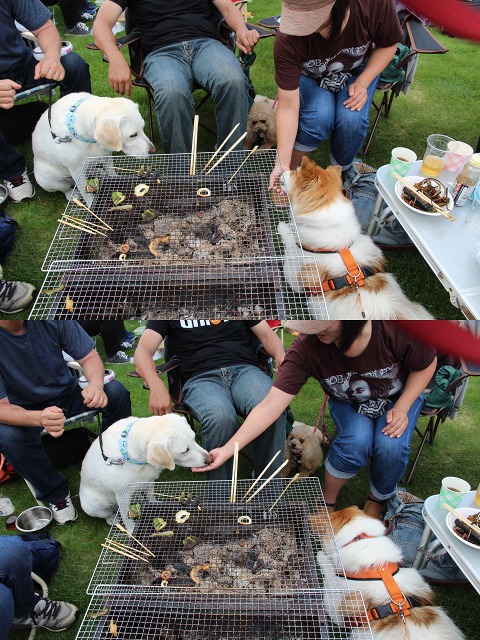 ファイル 117-6.jpg