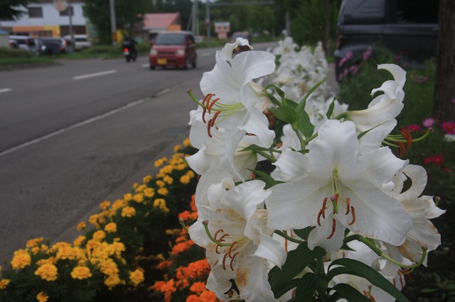 ファイル 118-3.jpg