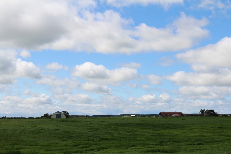 ファイル 119-2.jpg