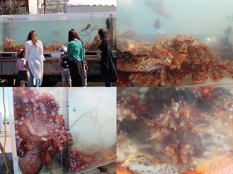 ファイル 119-6.jpg