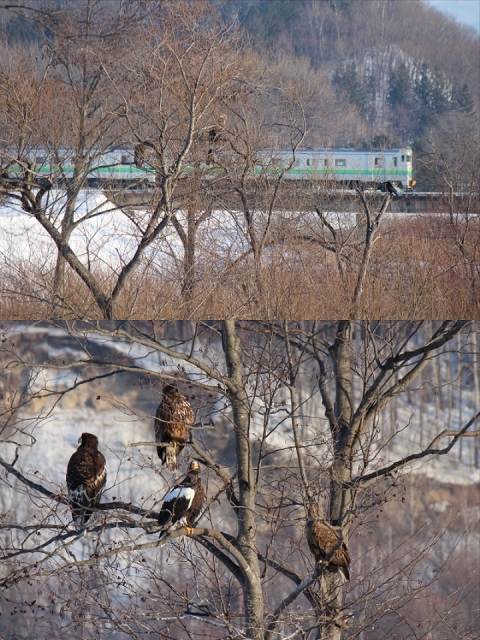 ファイル 12-4.jpg