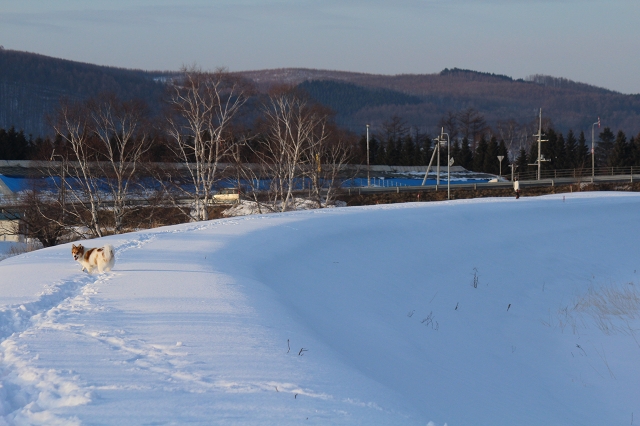 ファイル 12-7.jpg