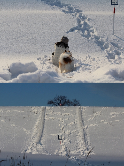 ファイル 12-8.jpg