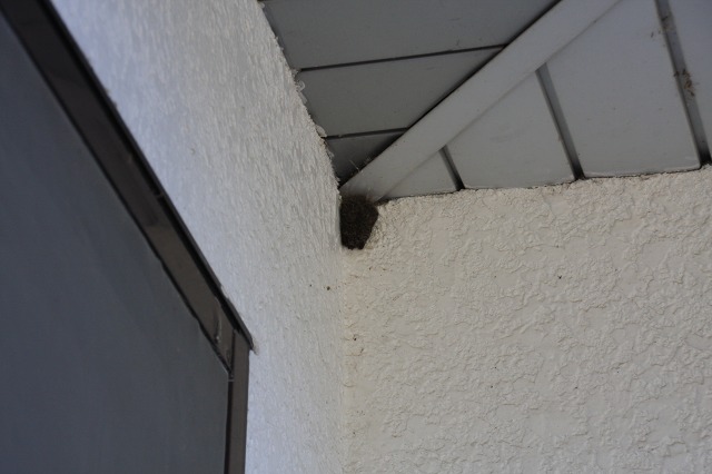 ファイル 120-2.jpg