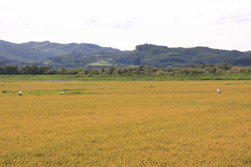 ファイル 121-3.jpg