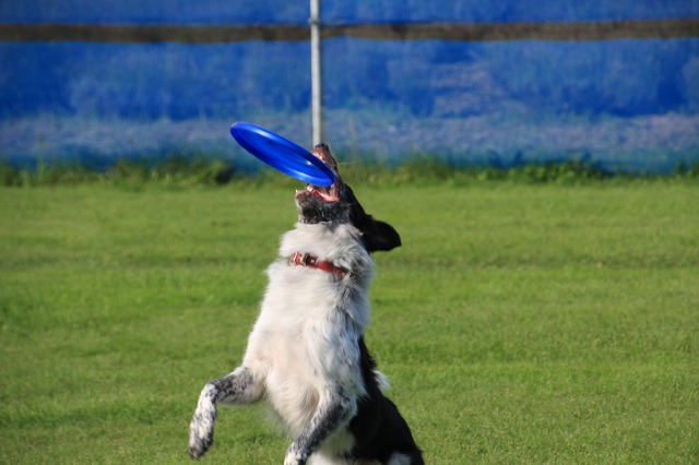 ファイル 121-4.jpg