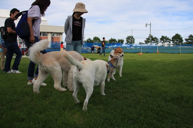 ファイル 121-5.jpg