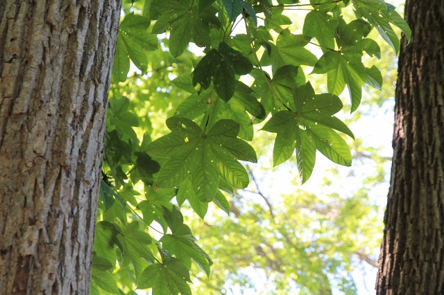 ファイル 122-3.jpg