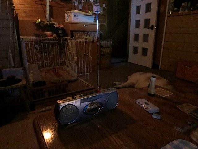 ファイル 123-8.jpg