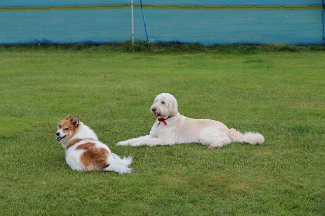 ファイル 124-7.jpg