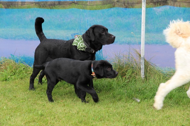 ファイル 124-9.jpg