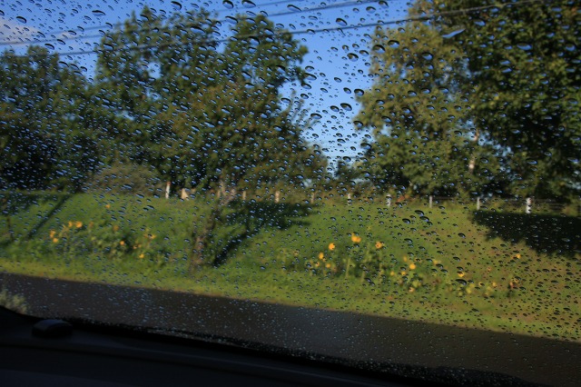 ファイル 128-1.jpg