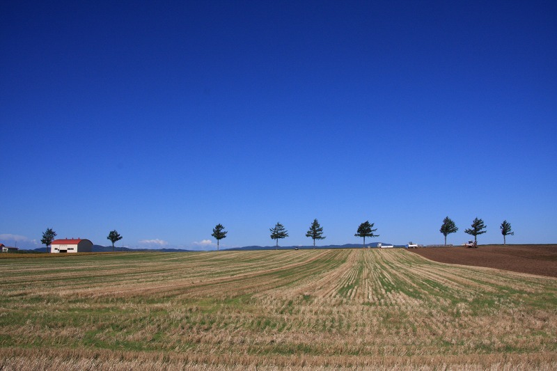 ファイル 128-2.jpg