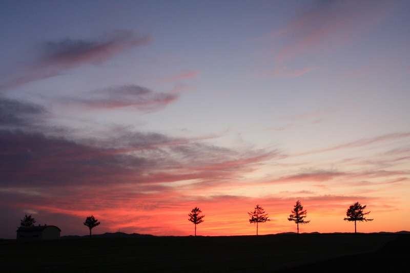 ファイル 129-5.jpg