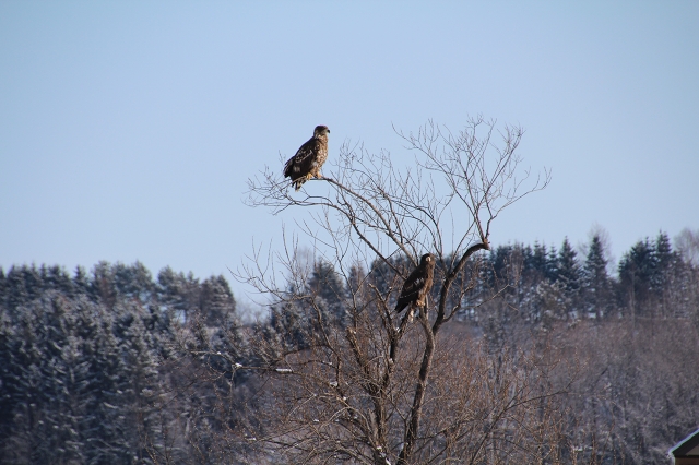 ファイル 13-2.jpg