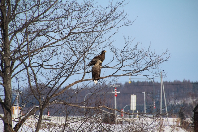 ファイル 13-4.jpg