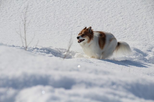 ファイル 13-5.jpg