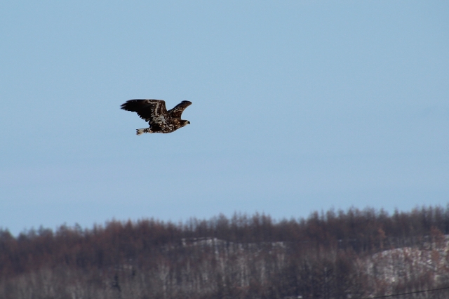 ファイル 13-6.jpg