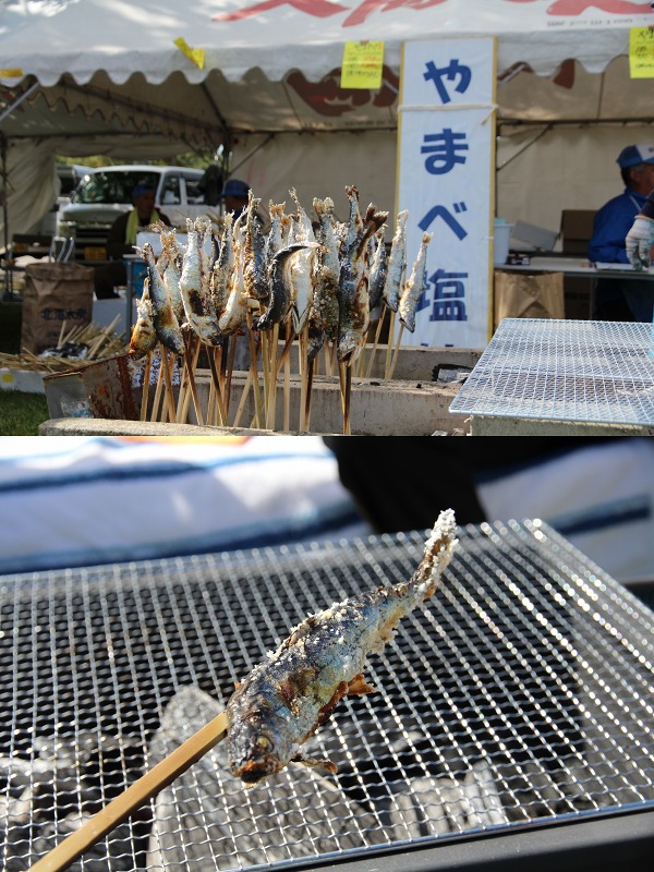 ファイル 132-1.jpg