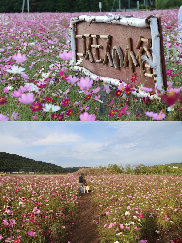 ファイル 134-2.jpg