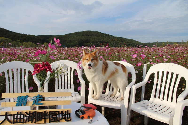 ファイル 134-3.jpg