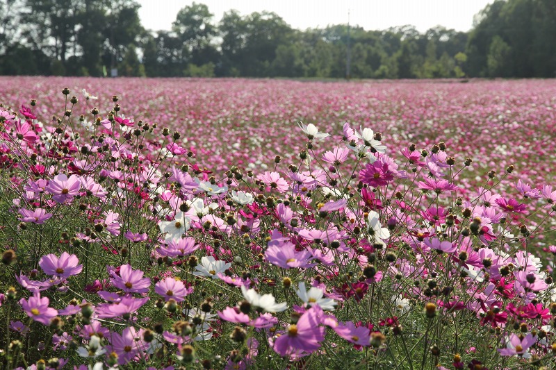 ファイル 134-4.jpg