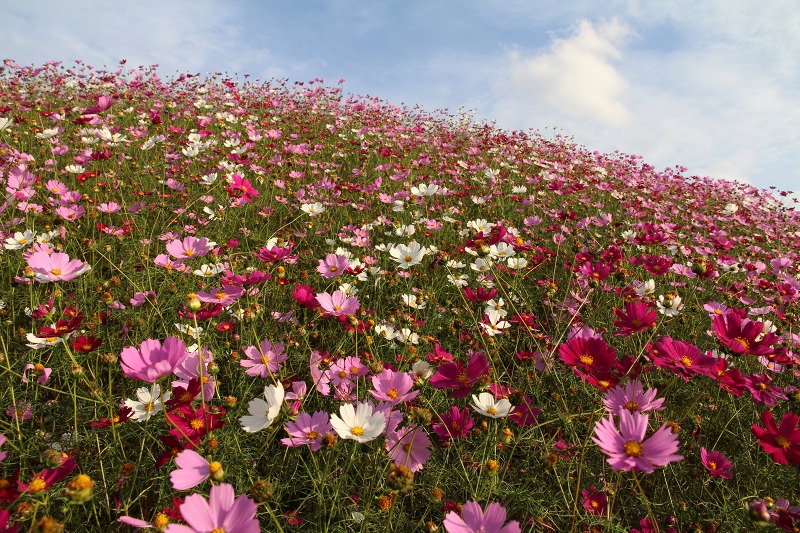 ファイル 134-6.jpg