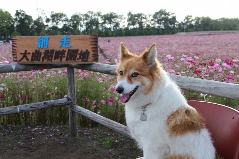 ファイル 134-7.jpg