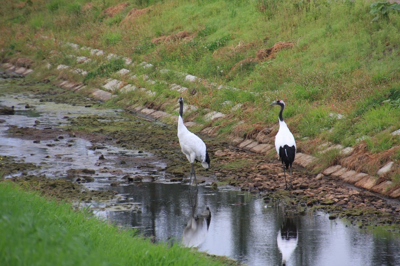 ファイル 135-1.jpg