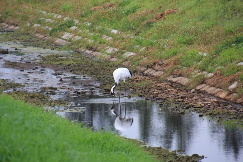 ファイル 135-4.jpg