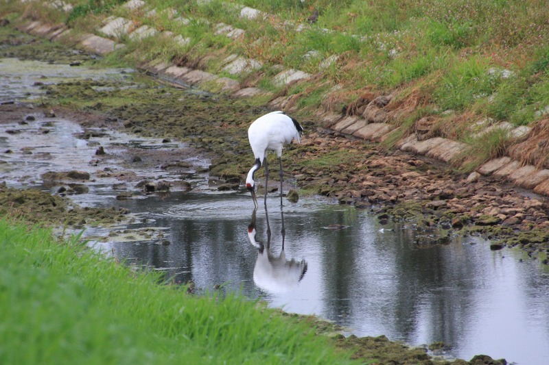 ファイル 135-5.jpg