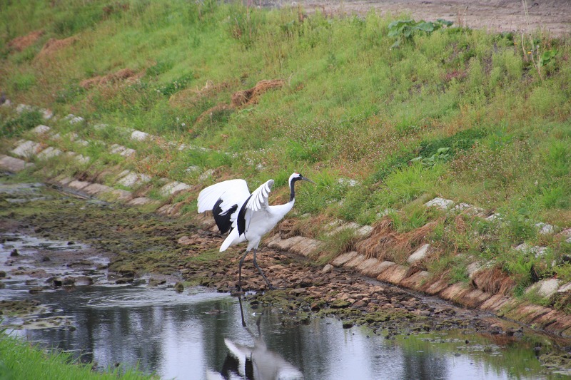 ファイル 135-6.jpg