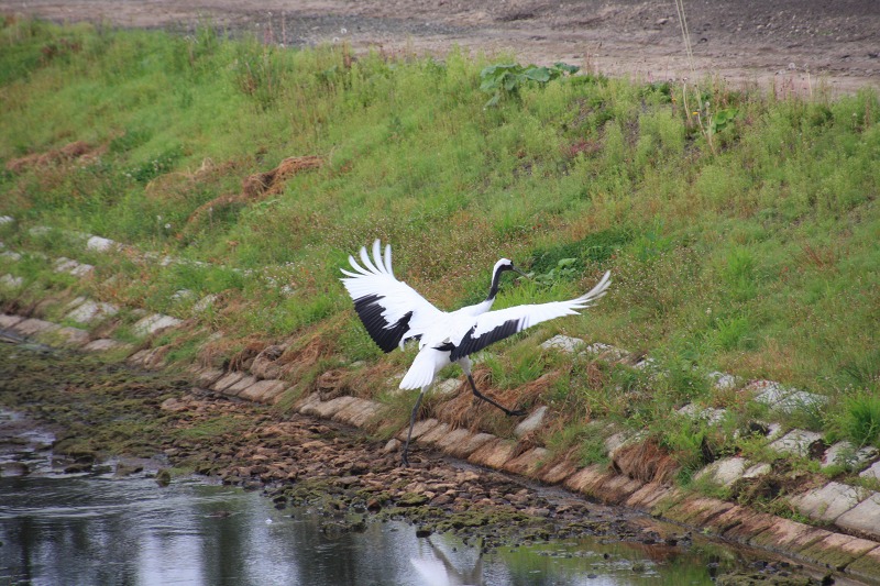 ファイル 135-7.jpg