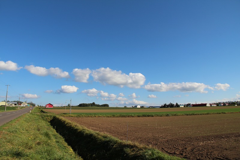 ファイル 136-2.jpg