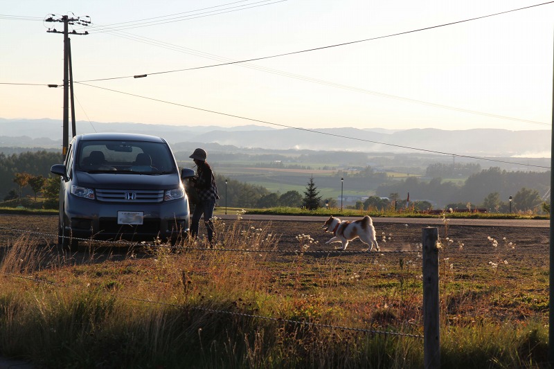 ファイル 136-7.jpg