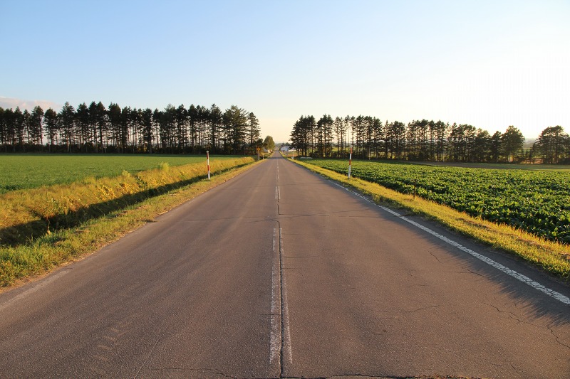 ファイル 136-8.jpg