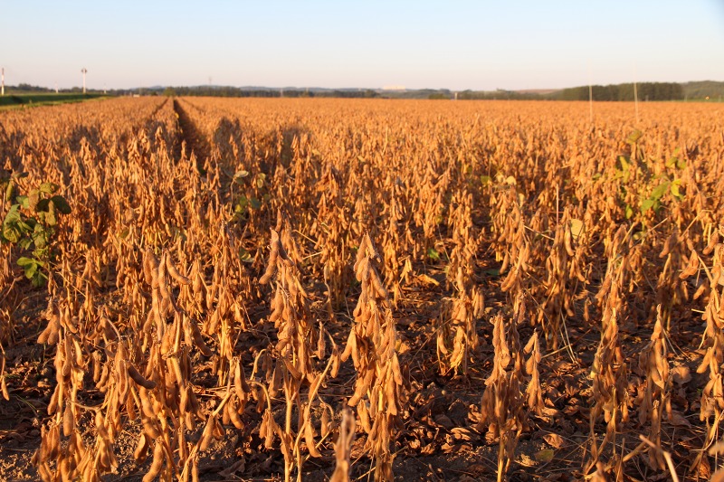 ファイル 136-9.jpg