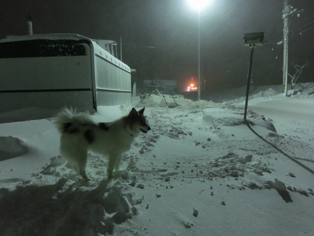 ファイル 139-1.jpg