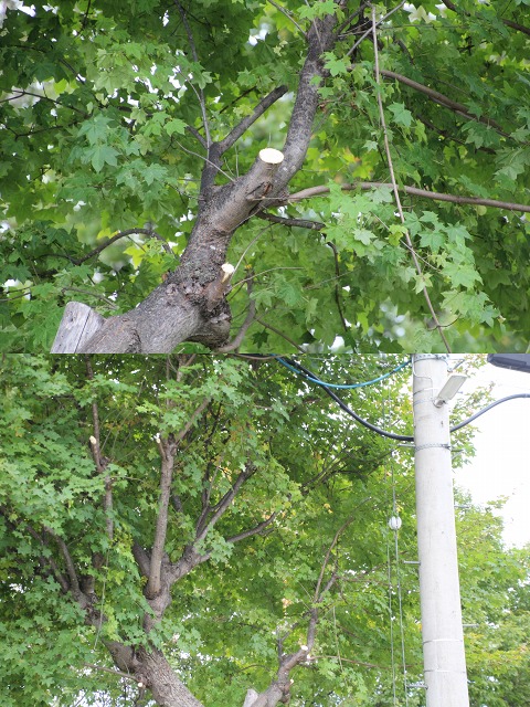 ファイル 139-3.jpg