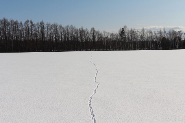 ファイル 14-5.jpg