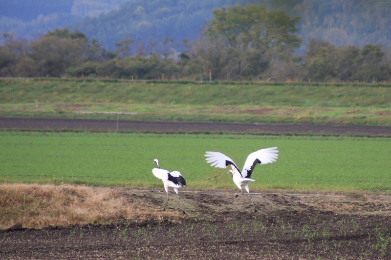 ファイル 140-2.jpg