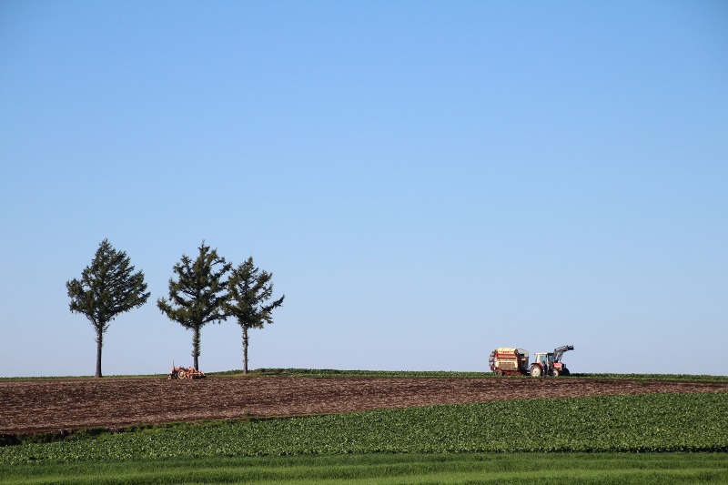 ファイル 141-1.jpg