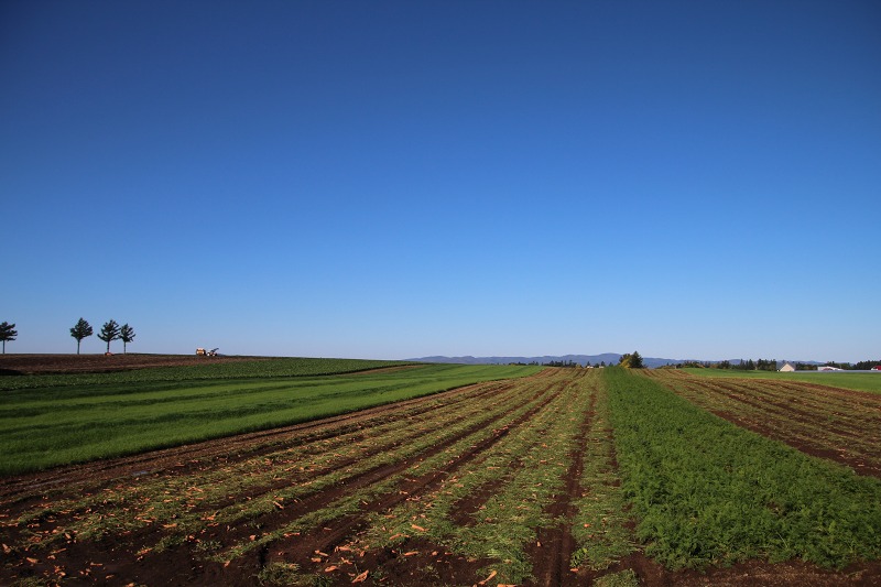 ファイル 141-2.jpg