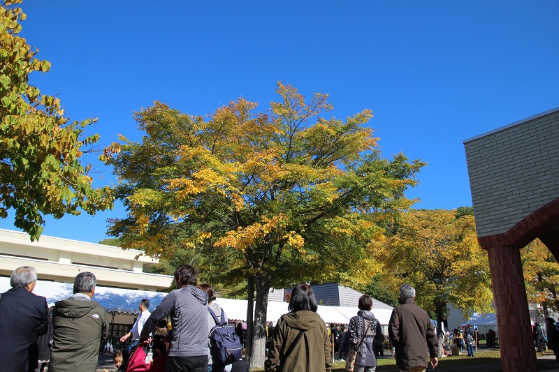 ファイル 141-4.jpg