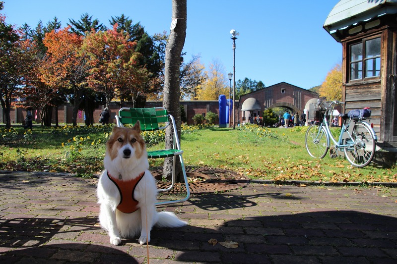 ファイル 141-5.jpg